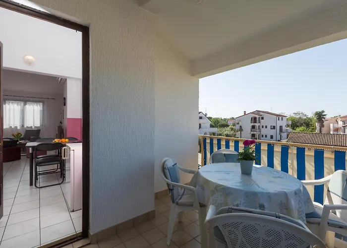 Daire Zlata With Beautiful View *